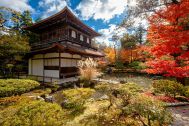 7+1 choses à faire au Japon