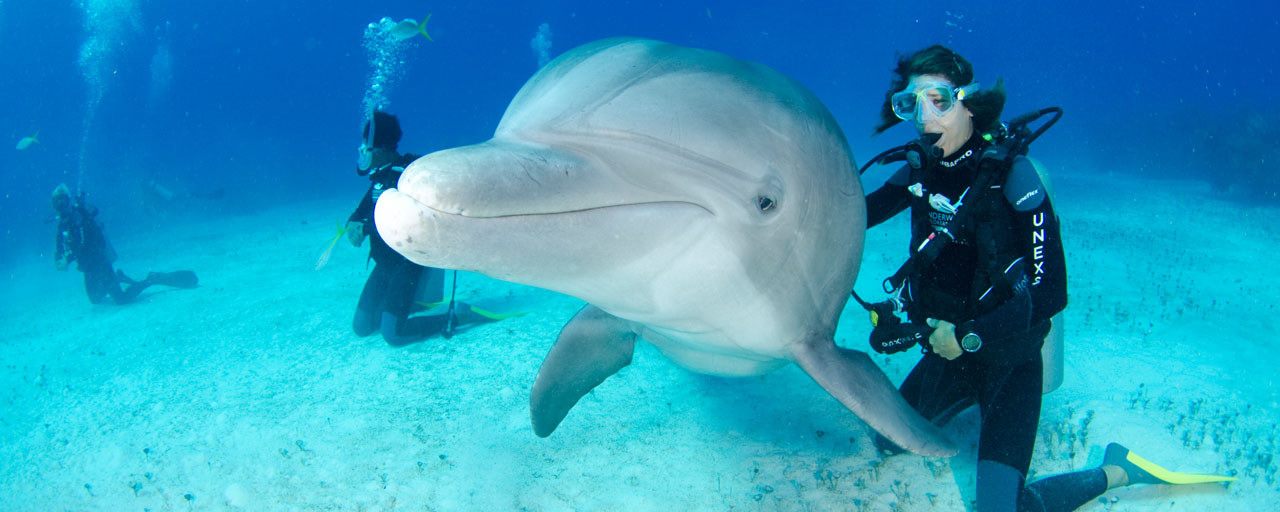 Bahamas