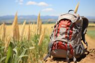 Équipement de randonnée : Millet vs Lafuma, quelle marque française privilégier?